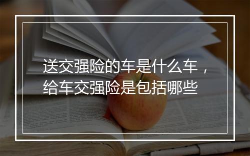 送交强险的车是什么车，给车交强险是包括哪些